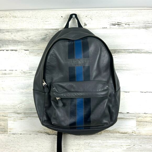 Coach Charles Gray Blue Striped Leather Backpack Men’s Designer Bag - Picture 1 of 10